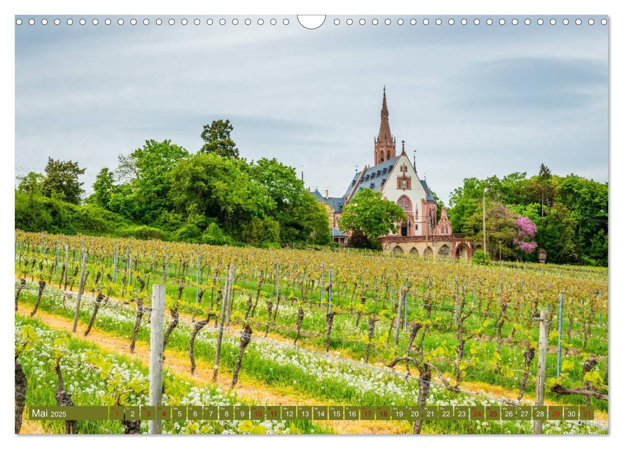 Bild: 9783435388905 | Rheinhessen-Impressionen (Wandkalender 2025 DIN A3 quer), CALVENDO...