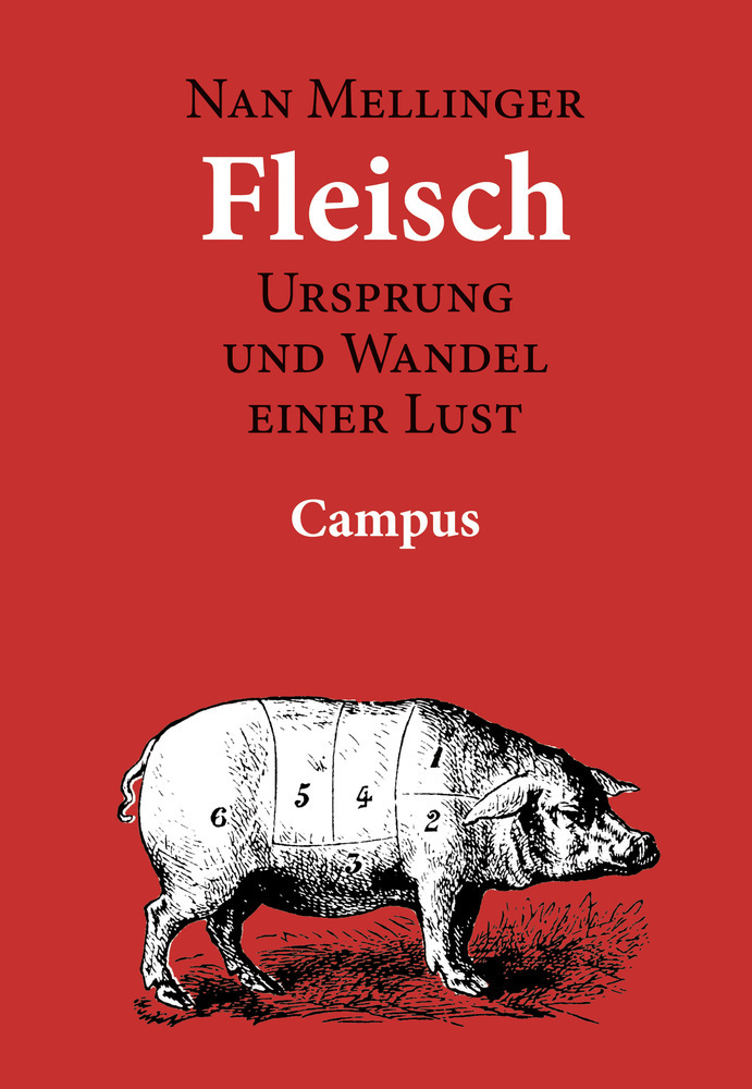 Cover: 9783593366418 | Fleisch | Nan Mellinger | Taschenbuch | Deutsch | 2003 | Campus Verlag