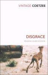 Cover: 9780099540984 | Disgrace | A BBC Radio 4 Good Read | J.M. Coetzee | Taschenbuch | 2010