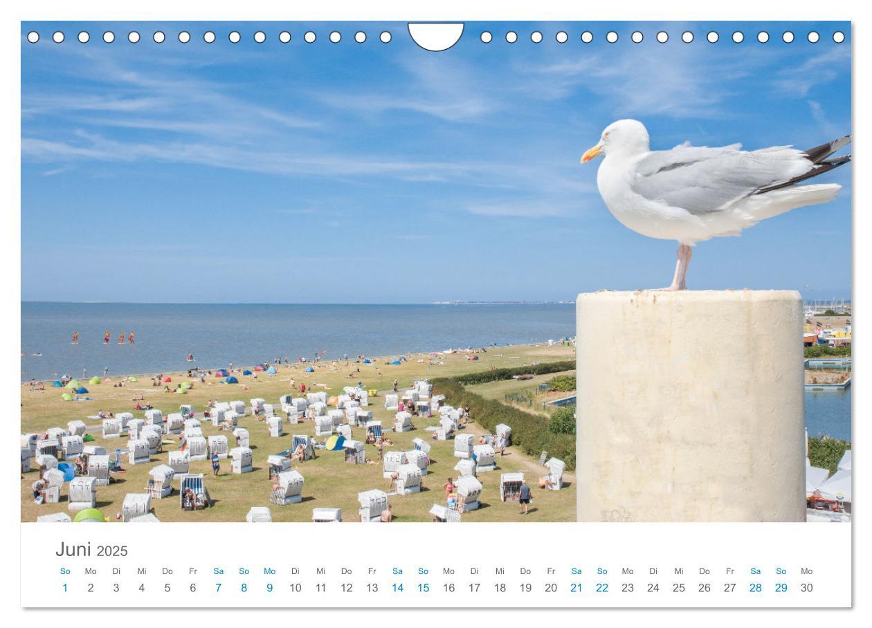 Bild: 9783435071913 | Moin Norden-Norddeich (Wandkalender 2025 DIN A4 quer), CALVENDO...