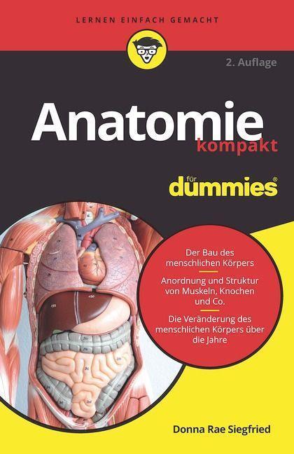 Cover: 9783527719396 | Anatomie kompakt für Dummies | Den menschlichen Körper verstehen