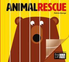 Cover: 9781908473127 | Animal Rescue | Patrick George | Buch | Acetate Series | Englisch