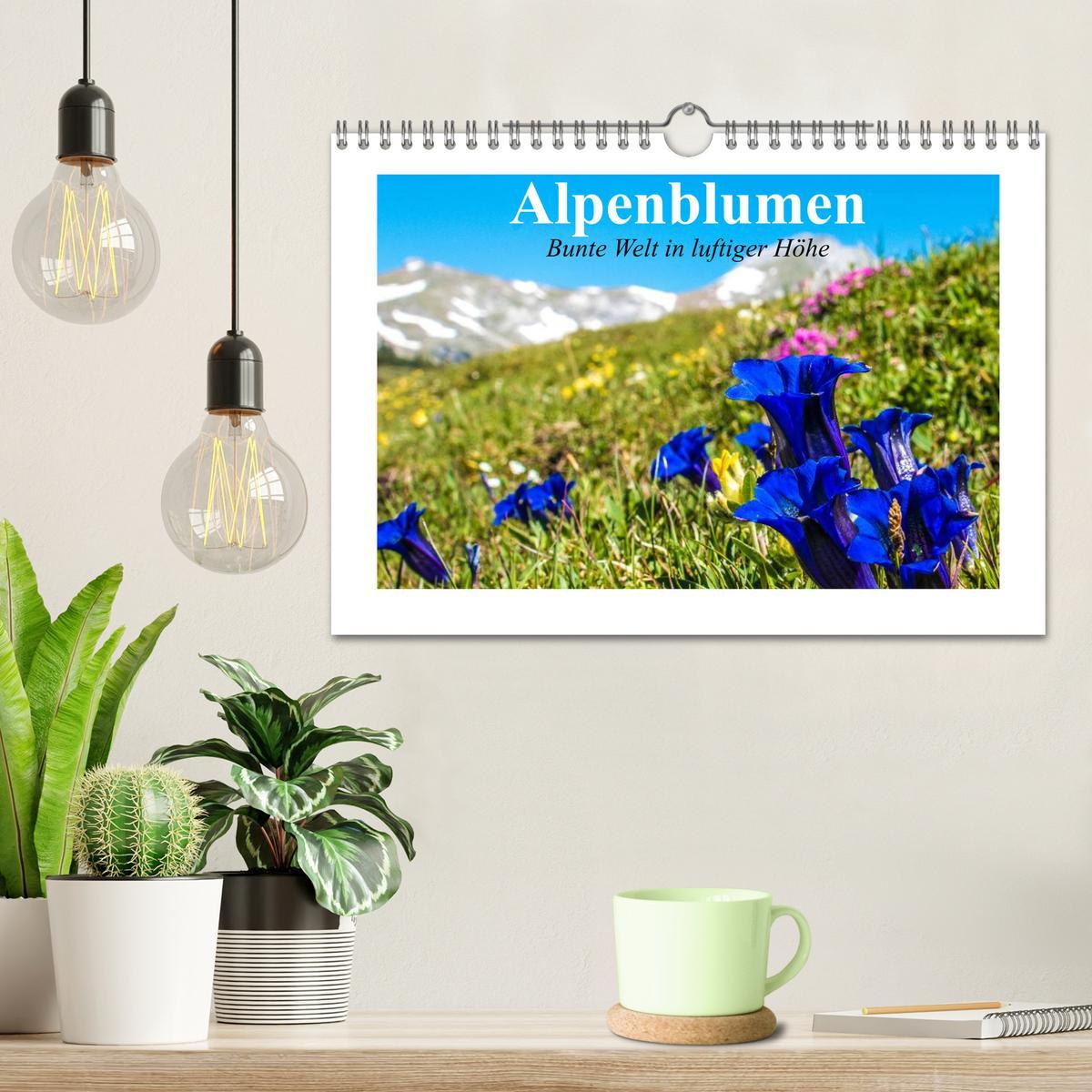 Bild: 9783435599516 | Alpenblumen. Bunte Welt in luftiger Höhe (Wandkalender 2025 DIN A4...