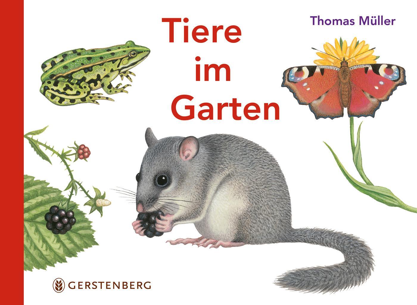 Cover: 9783836956703 | Tiere im Garten | Thomas Müller | Buch | mit 7 Klappseiten, Buchdecke