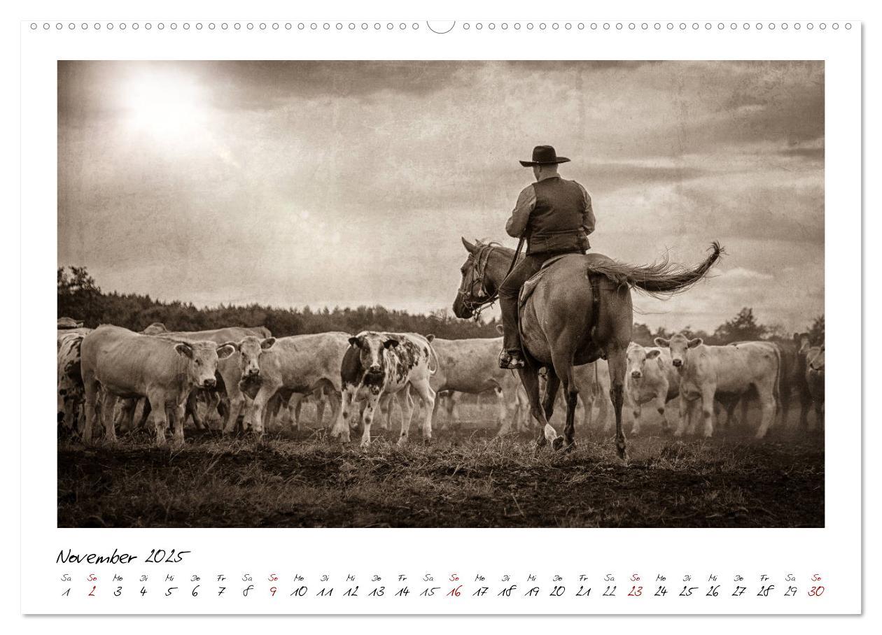 Bild: 9783435442676 | Mecklenburgs Wilder Westen (hochwertiger Premium Wandkalender 2025...