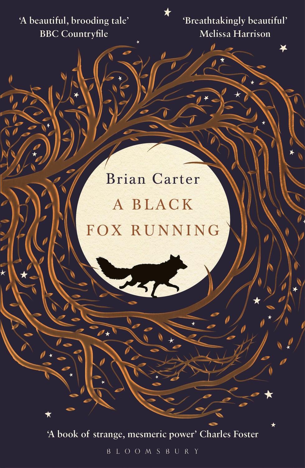 Cover: 9781408896129 | A Black Fox Running | Brian Carter | Taschenbuch | Englisch | 2019