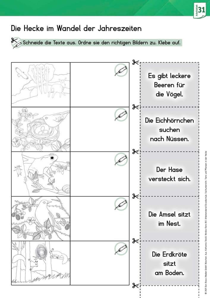 Bild: 9783769824827 | Arbeitsmaterial Grundschule. Sachunterricht: Tiere und Pflanzen in...