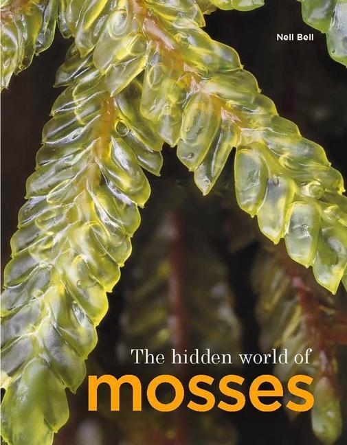 Cover: 9781910877456 | The Hidden World of Mosses | Neil Bell | Buch | Englisch | 2023