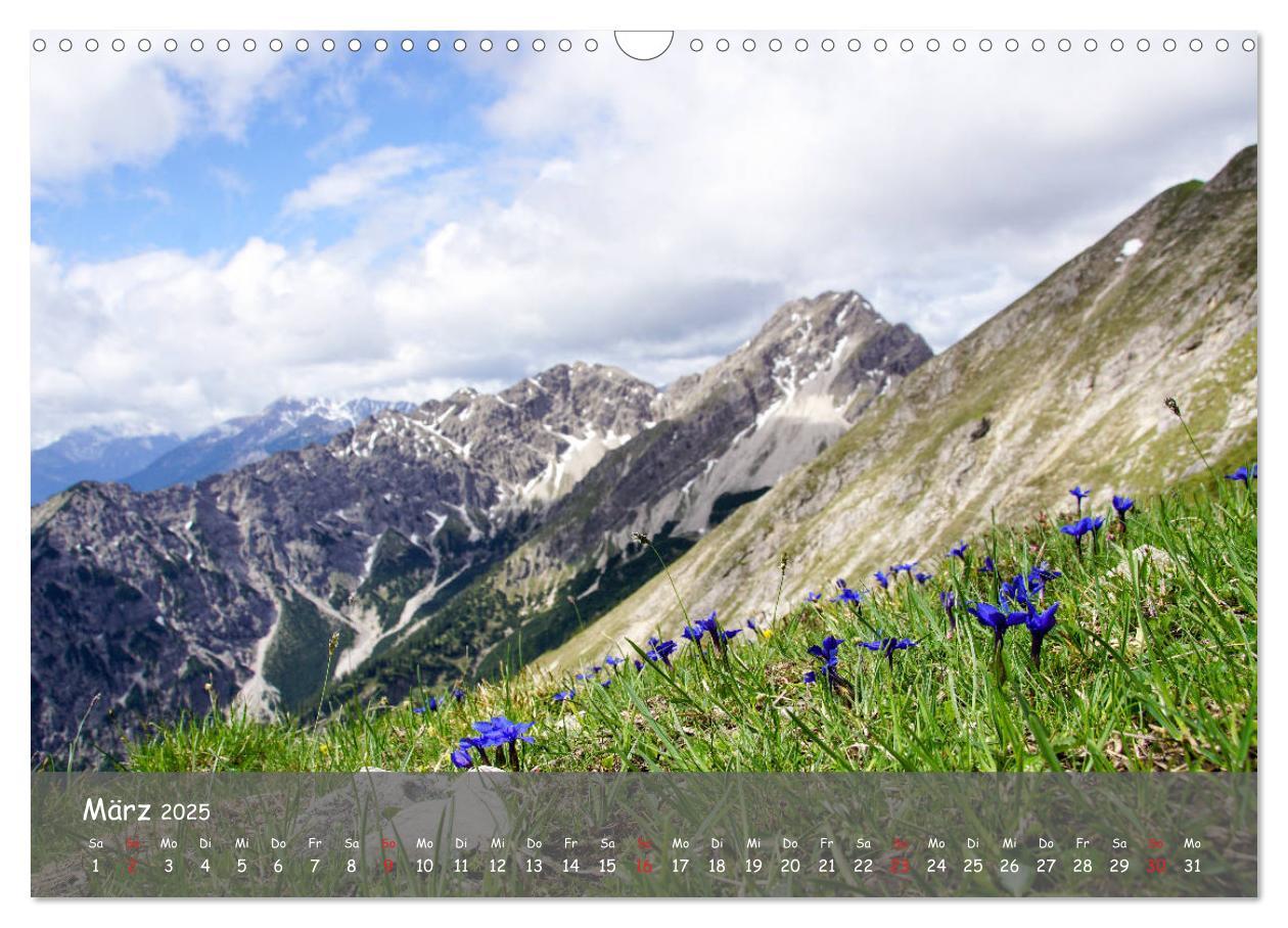 Bild: 9783435235674 | Ammergauer Alpen (Wandkalender 2025 DIN A3 quer), CALVENDO...