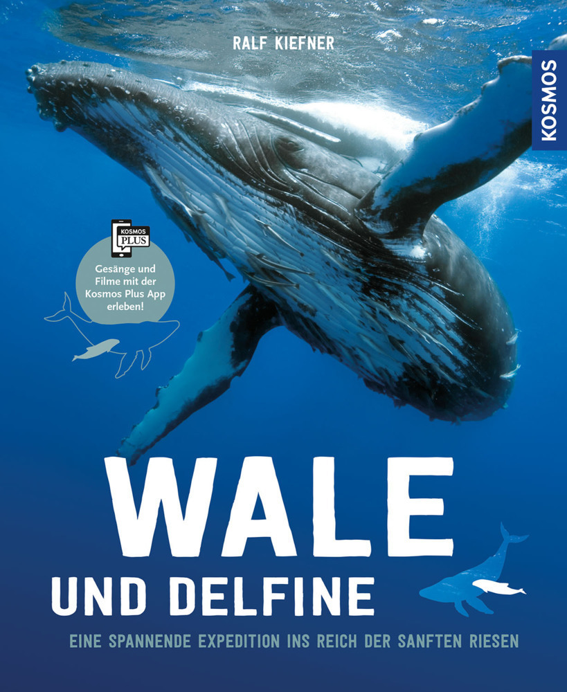 Cover: 9783440167304 | Wale und Delfine | Ralf Kiefner | Buch | 64 S. | Deutsch | 2019