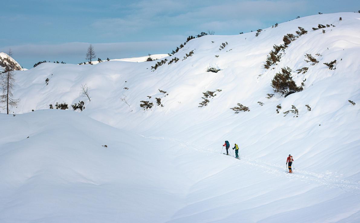 Bild: 9783711200358 | Dem Genuss auf der Spur | 50 Skitouren in den österreichischen Alpen