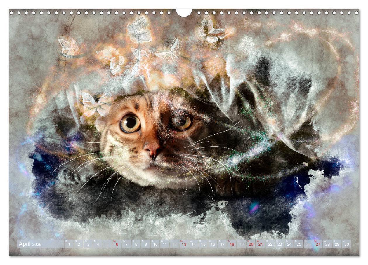 Bild: 9783435408412 | Katzenkalender mausgemalt (Wandkalender 2025 DIN A3 quer), CALVENDO...