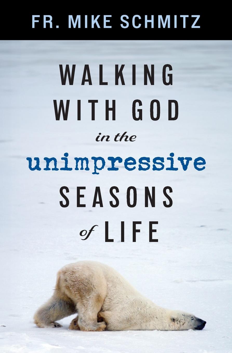 Cover: 9781593257224 | Walking with God in the Unimpressive Seasons of Life | Schmitz | Buch