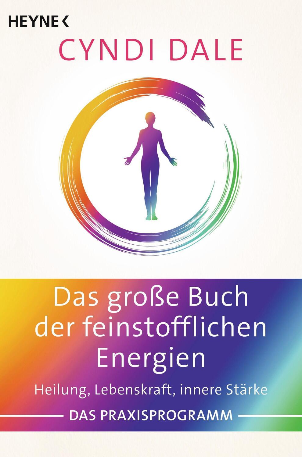 Cover: 9783453704138 | Das große Buch der feinstofflichen Energien | Cyndi Dale | Taschenbuch