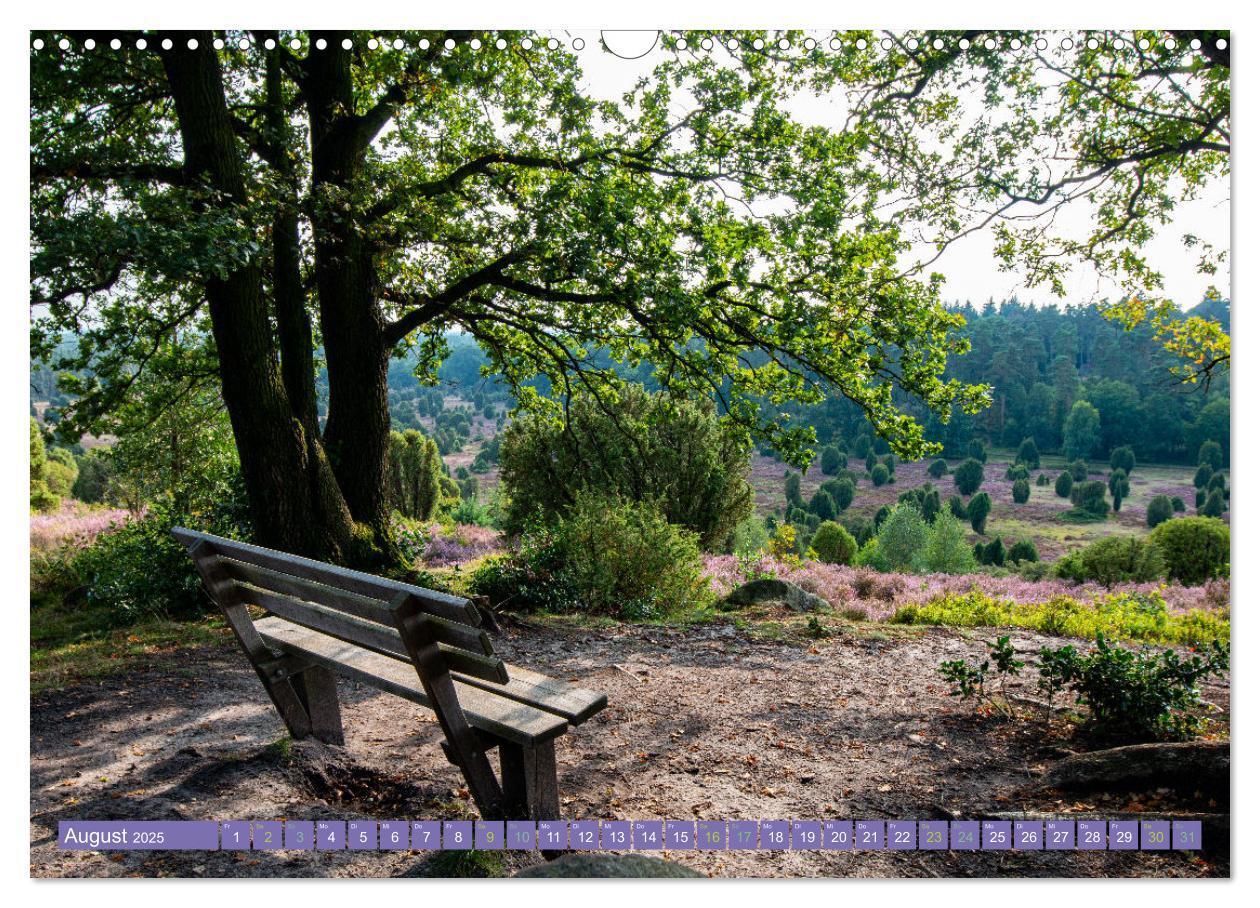 Bild: 9783383984143 | Die Farbenpracht der Lüneburger Heide (Wandkalender 2025 DIN A3...