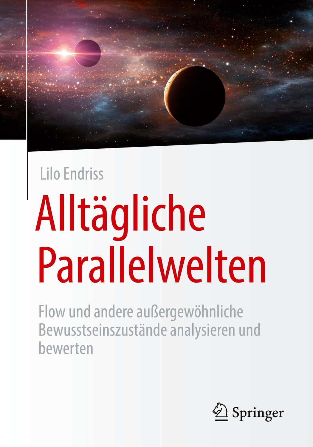 Cover: 9783658411633 | Alltägliche Parallelwelten | Lilo Endriss | Taschenbuch | Paperback