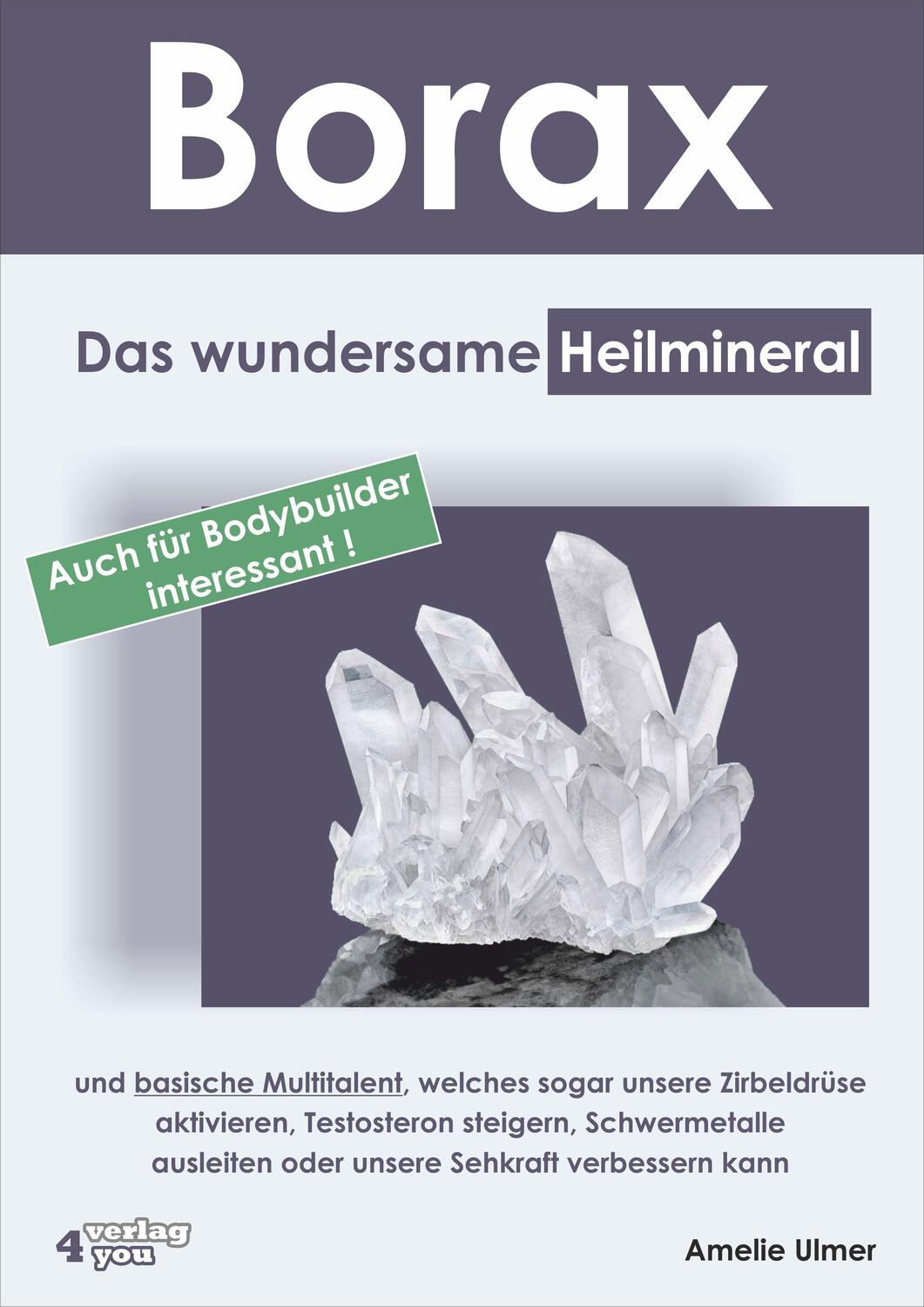 Cover: 9783947183128 | Borax | Amelie Ulmer | Taschenbuch | Deutsch | 2018 | Verlag4you