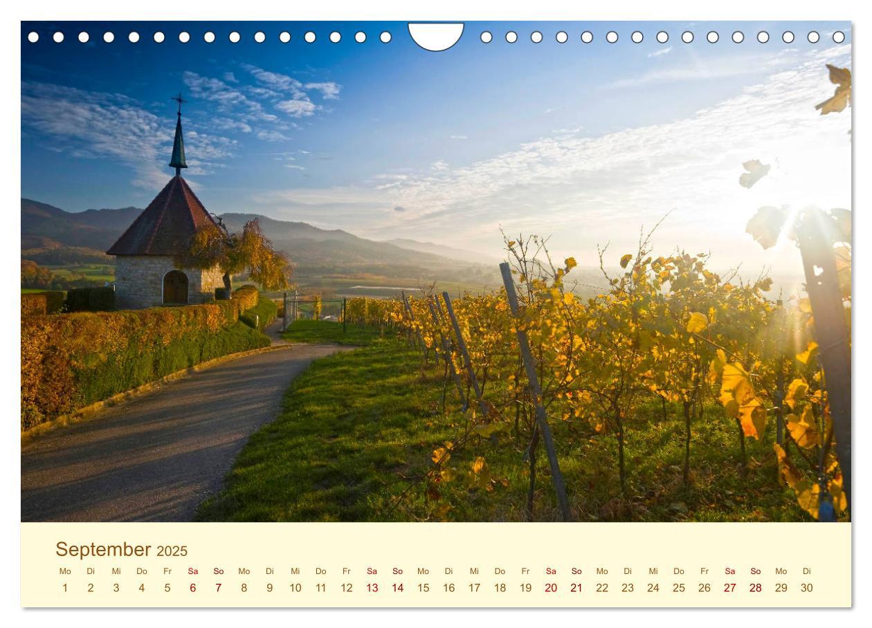 Bild: 9783435187041 | Freiburg Perle im Breisgau (Wandkalender 2025 DIN A4 quer),...