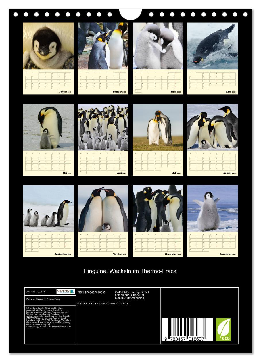 Bild: 9783457018637 | Pinguine. Wackeln im Thermo-Frack (Wandkalender 2025 DIN A4 hoch),...