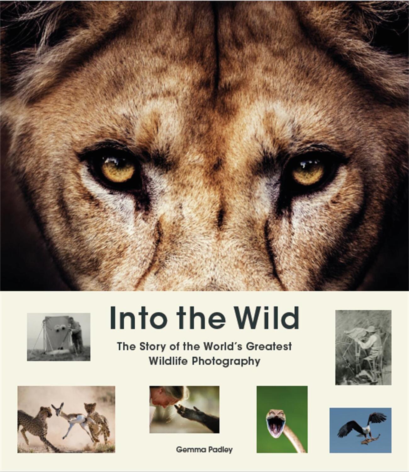 Cover: 9781913947484 | Into the Wild | The Story of the World's Greatest Wildlife Photography