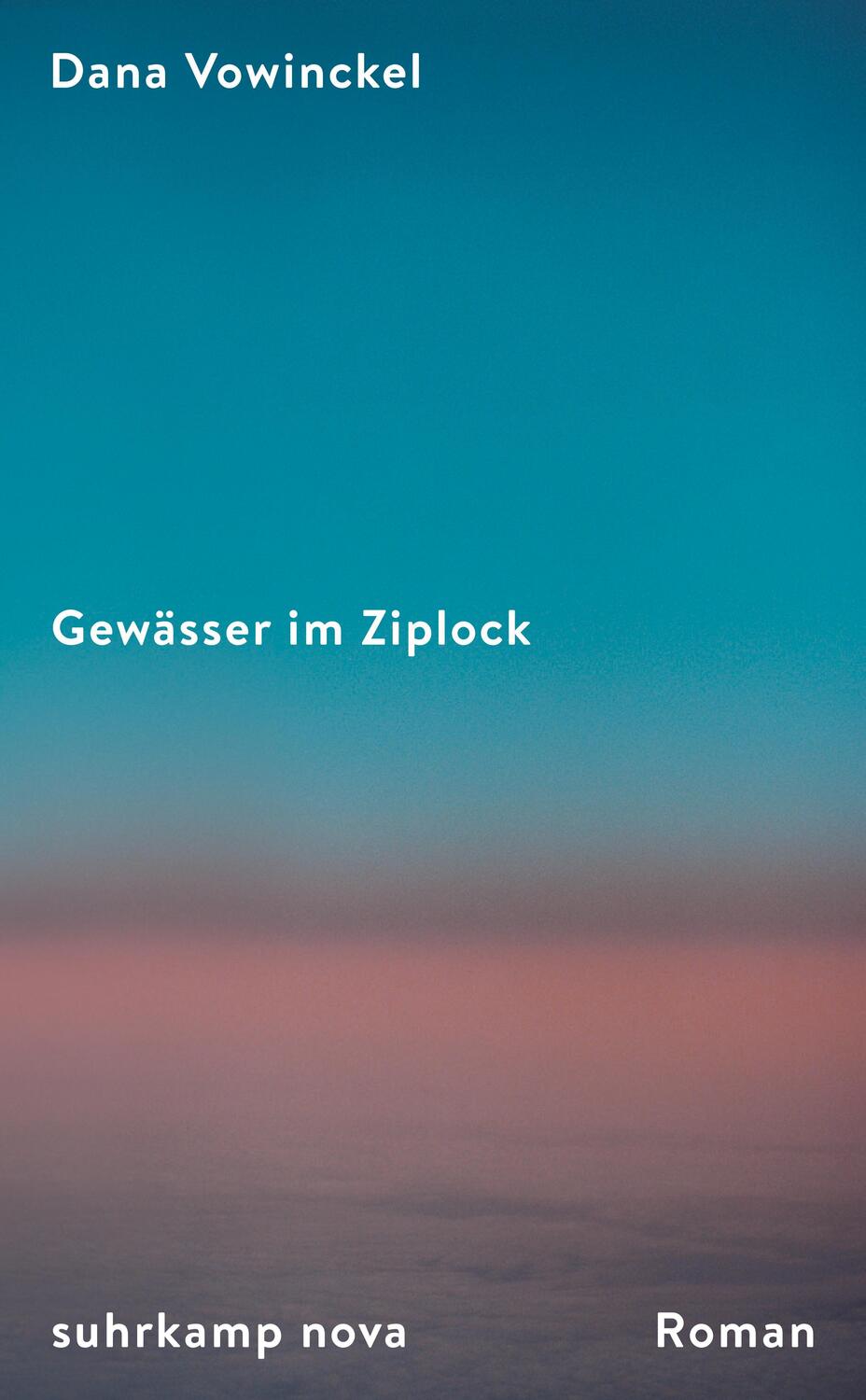 Cover: 9783518473603 | Gewässer im Ziplock | Dana Vowinckel | Buch | 362 S. | Deutsch | 2023