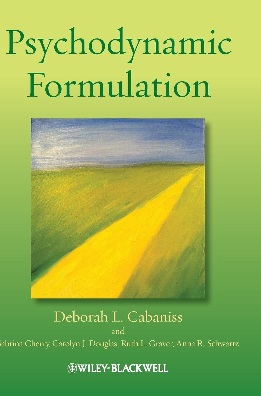 Cover: 9781119962342 | Psychodynamic Formulation | Cabaniss | Buch | Englisch | 2013