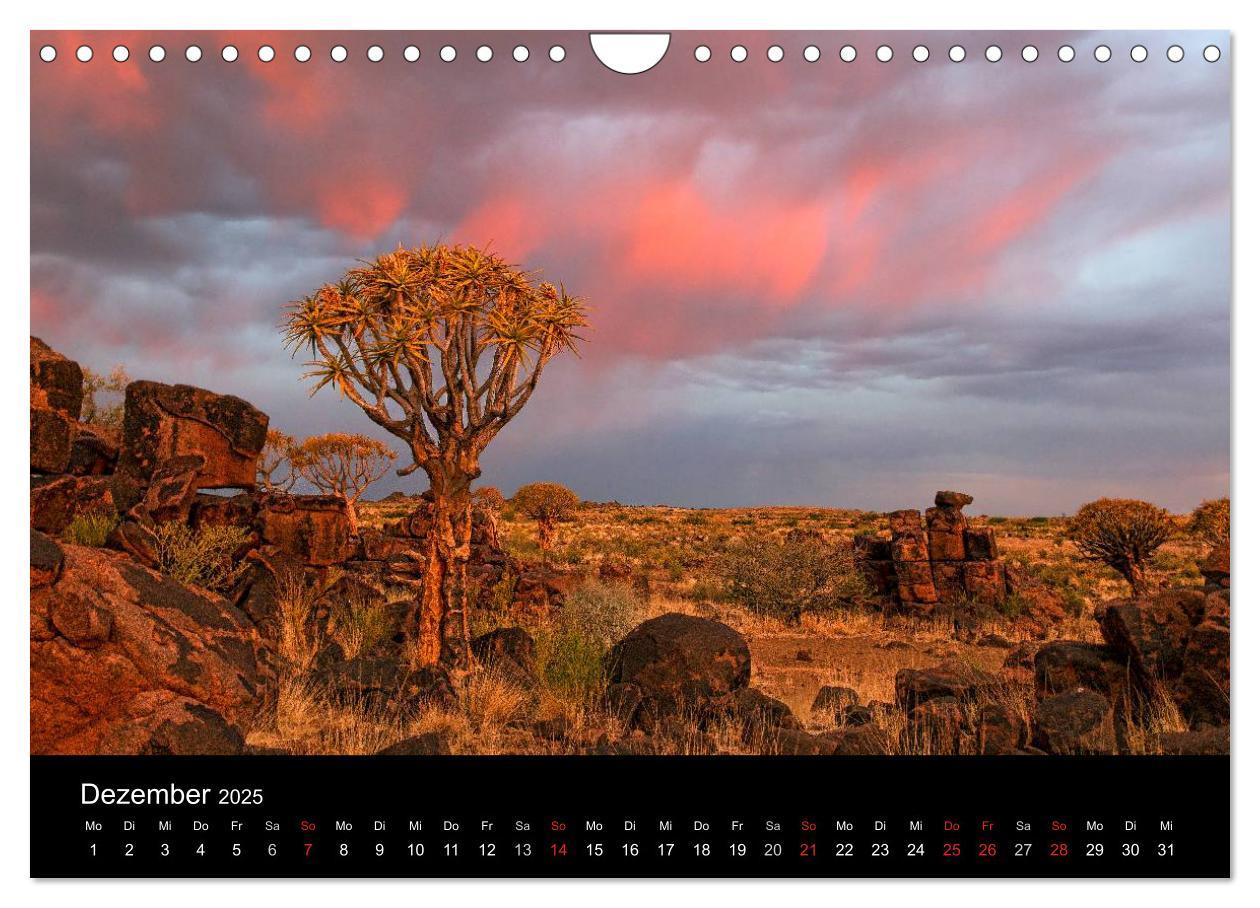 Bild: 9783435828906 | Fantastisches Namibia (Wandkalender 2025 DIN A4 quer), CALVENDO...