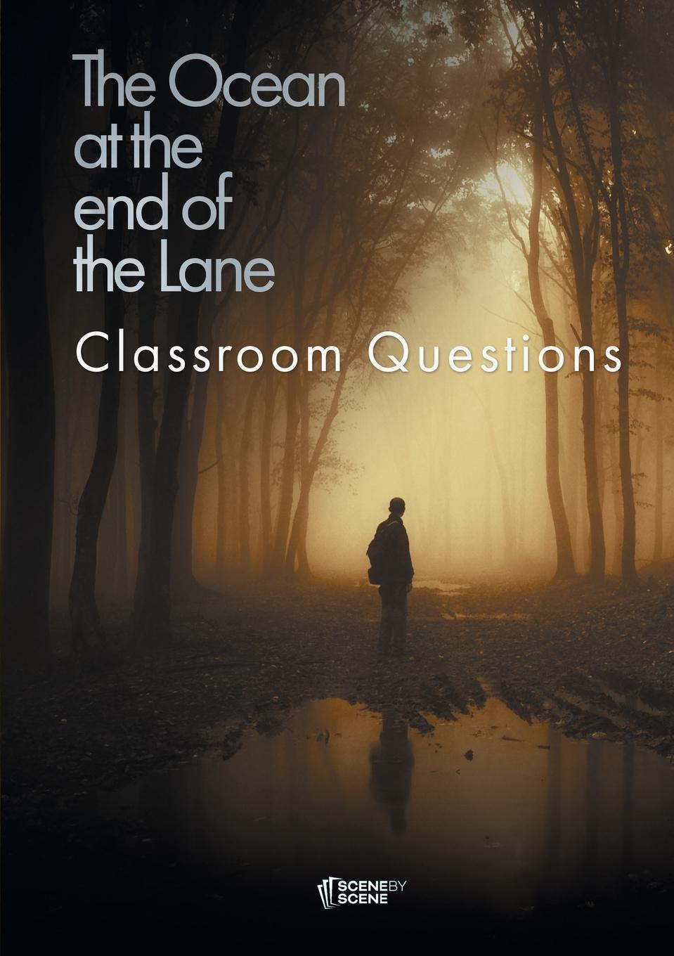 Cover: 9781910949283 | The Ocean at the End of the Lane Classroom Questions | Amy Farrell