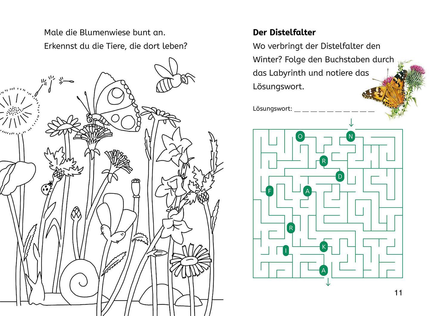 Bild: 9783440178195 | Lesen lernen mit Naturrätseln, Bücherhelden 2. Klasse, Insekten &amp;...