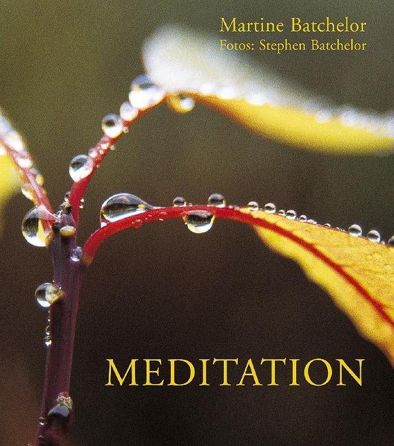 Cover: 9783924195830 | Meditation | Martine Batchelor (u. a.) | Taschenbuch | Deutsch | 2003