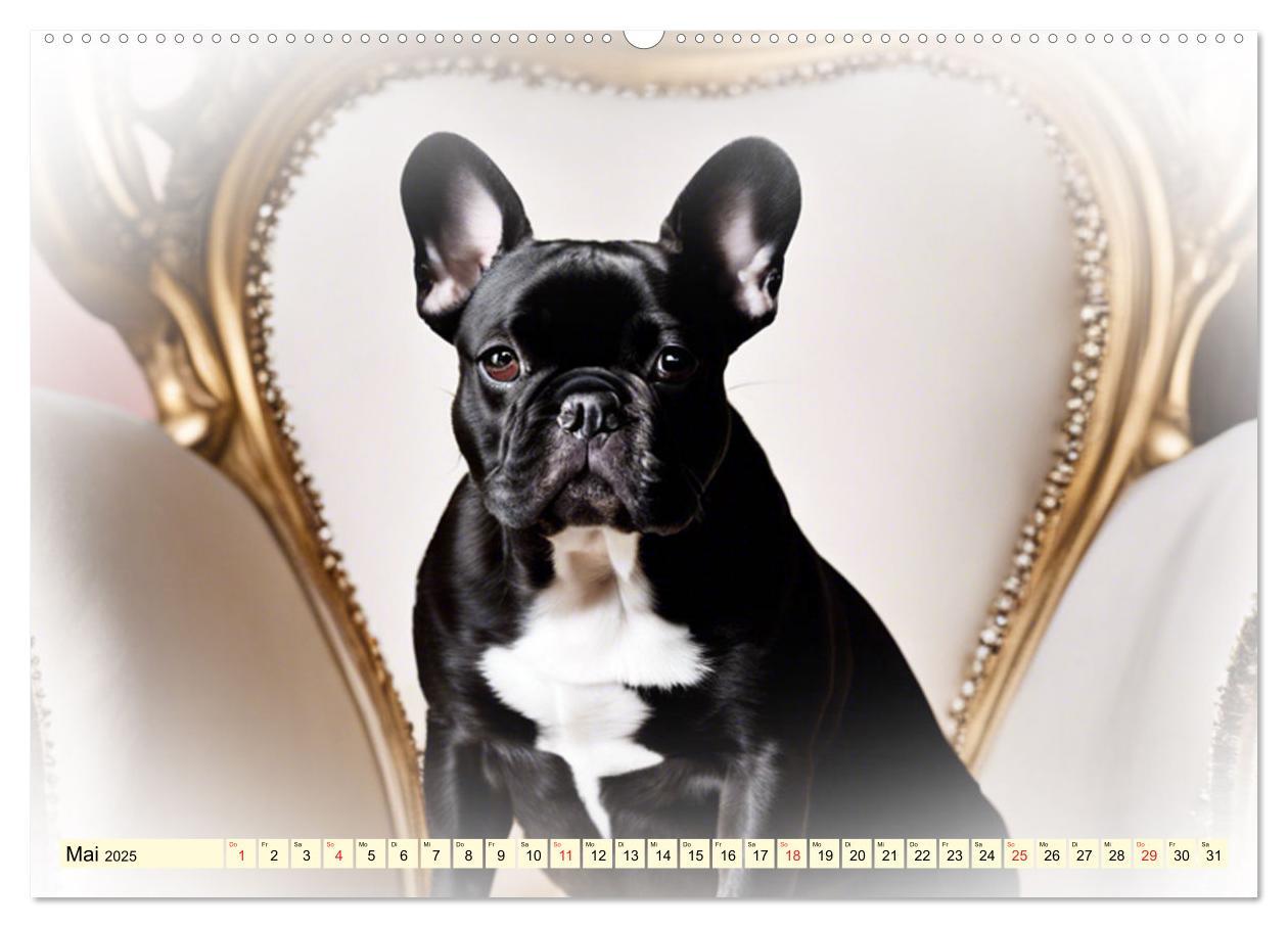 Bild: 9783435372348 | Rasseportraits - Hunde (hochwertiger Premium Wandkalender 2025 DIN...