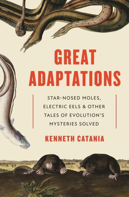 Cover: 9780691195254 | Great Adaptations - Star-Nosed Moles, Electric Eels, and Other...