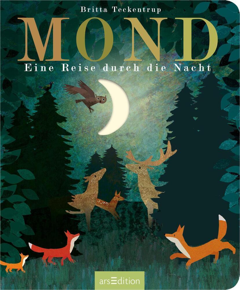 Bild: 9783845846736 | Mond | Eine Reise durch die Nacht | Maria Höck | Buch | 24 S. | 2022