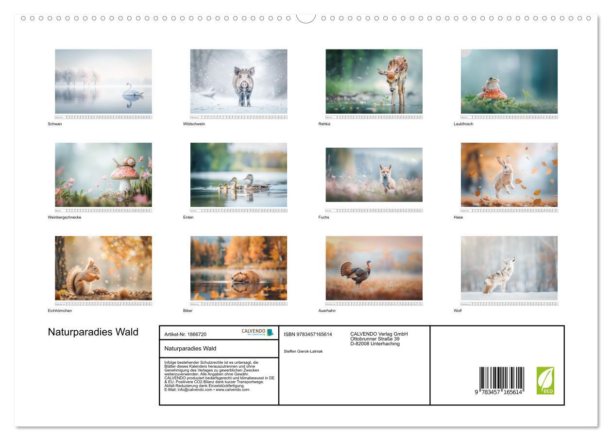 Bild: 9783457165614 | Naturparadies Wald (hochwertiger Premium Wandkalender 2025 DIN A2...