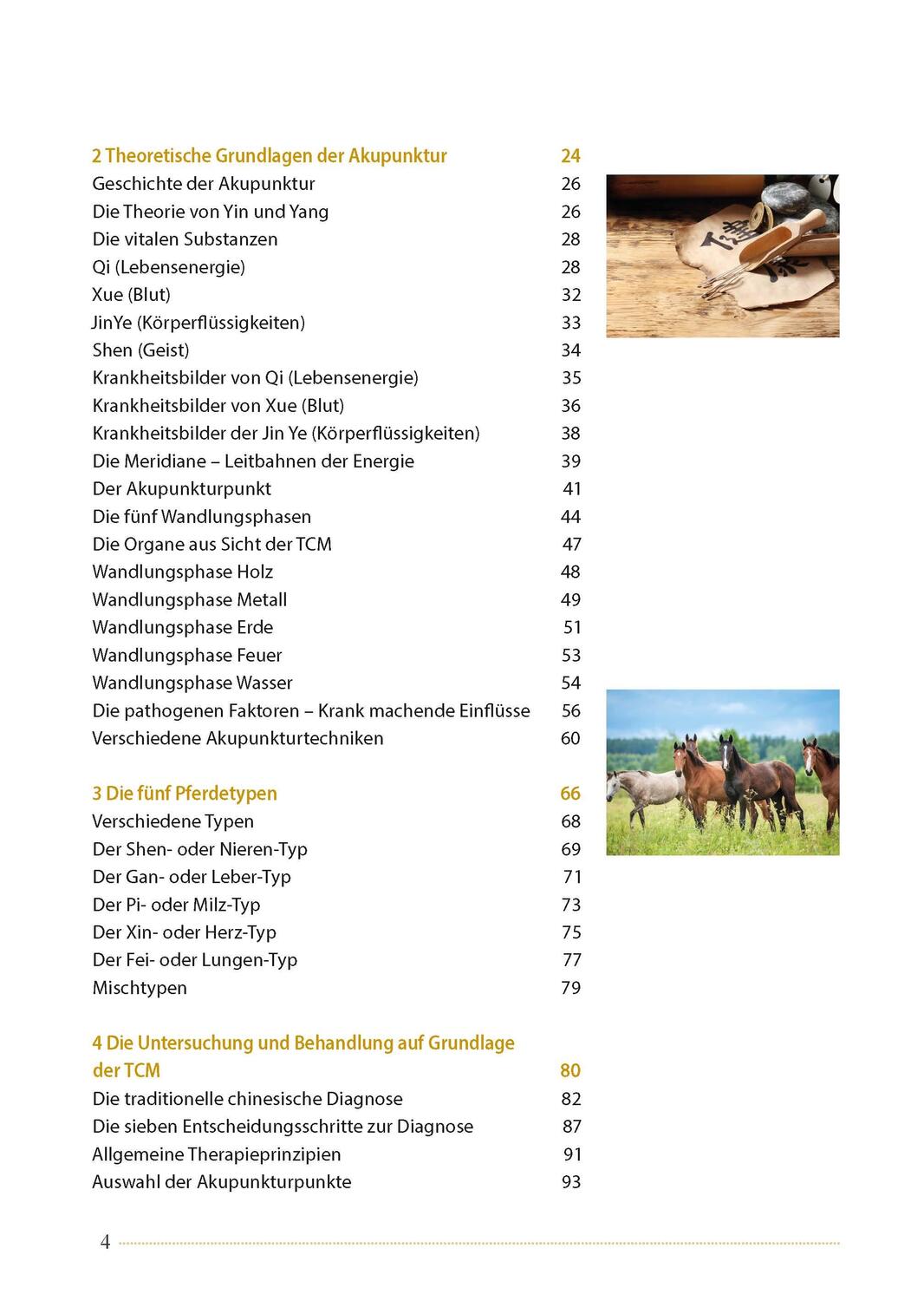 Bild: 9783275022403 | Akupunktur beim Pferd | Mit praktischen Akupressur-Anwendungen | Buch