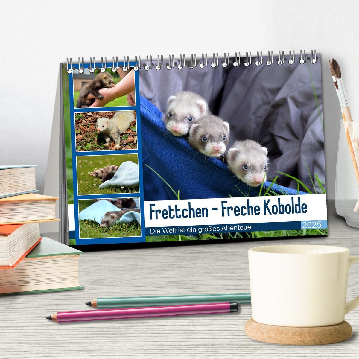 Bild: 9783383987267 | Frettchen - Freche Kobolde (Tischkalender 2025 DIN A5 quer),...