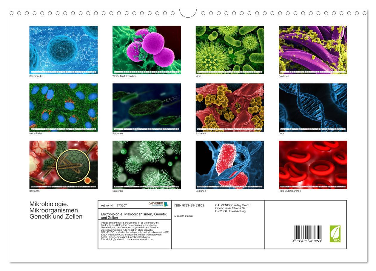 Bild: 9783435483853 | Mikrobiologie. Mikroorganismen, Genetik und Zellen (Wandkalender...