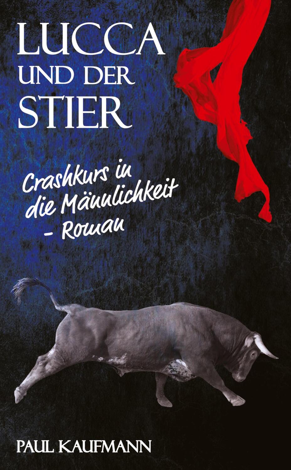 Cover: 9783347958128 | Lucca und der Stier | Crashkurs in die Männlichkeit | Paul Kaufmann