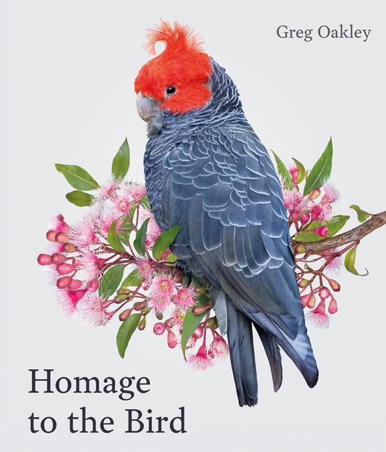 Cover: 9781864709322 | Homage to the Bird | Greg Oakley | Buch | Englisch | 2022