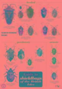 Cover: 9781851538980 | Nau, B: Guide to Shieldbugs of the British Isles | Bernard Nau | 2004