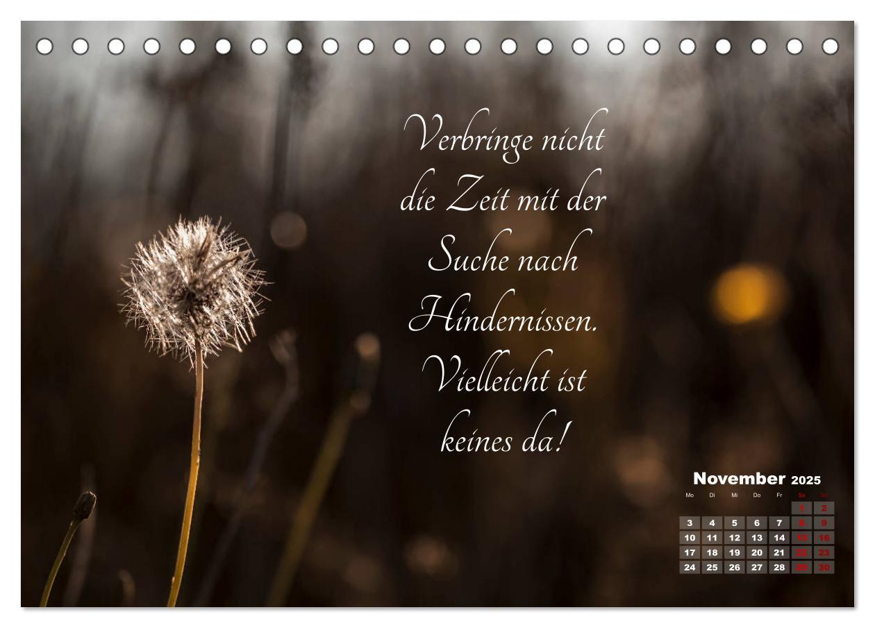 Bild: 9783435249077 | Chinesische Weisheiten (Tischkalender 2025 DIN A5 quer), CALVENDO...