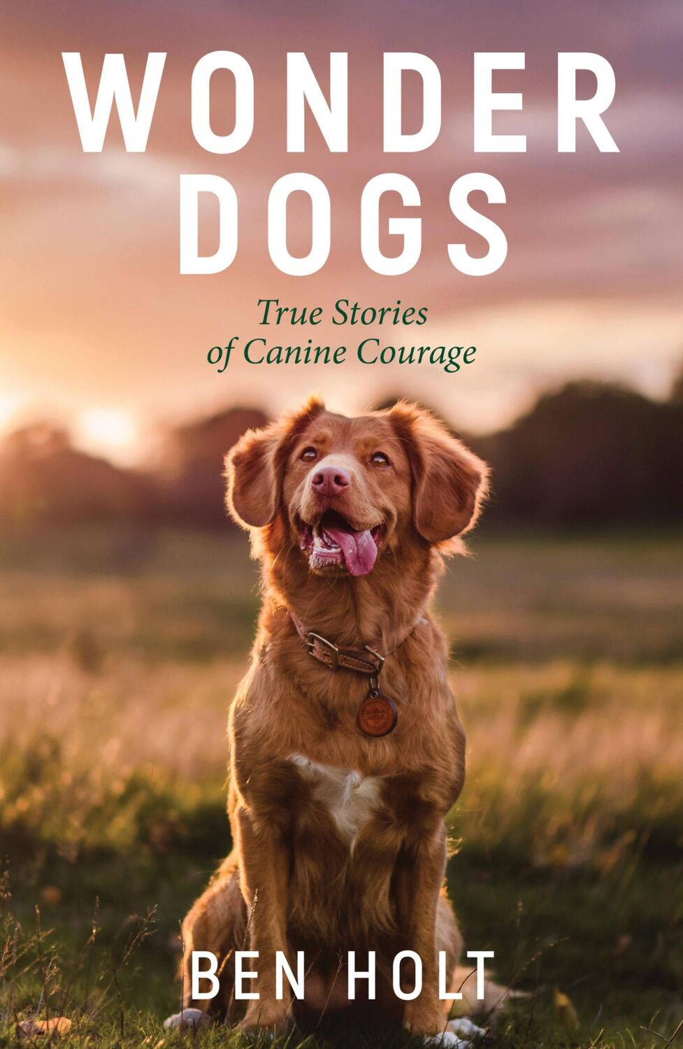 Cover: 9781800071803 | Wonder Dogs | True Stories of Canine Courage | Ben Holt | Taschenbuch