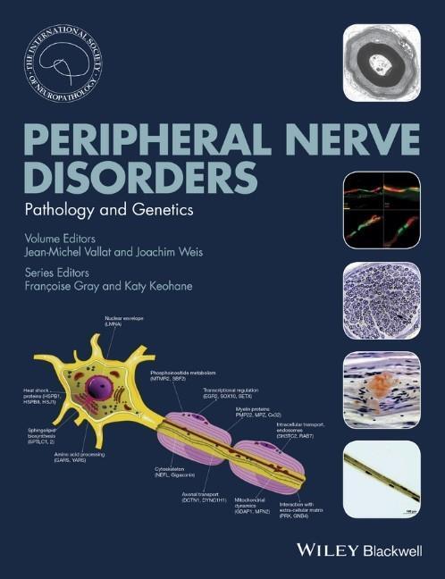 Cover: 9781118618431 | Peripheral Nerve Disorders | Pathology and Genetics | Vallat (u. a.)