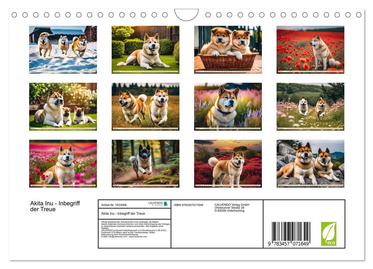 Bild: 9783457071649 | Akita Inu - Inbegriff der Treue (Wandkalender 2025 DIN A4 quer),...