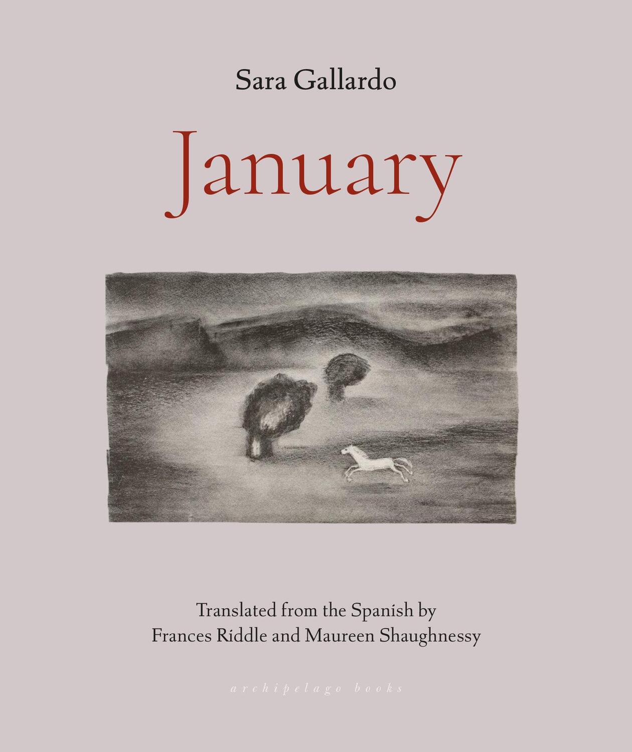 Cover: 9781953861641 | January | Sara Gallardo | Taschenbuch | Einband - flex.(Paperback)