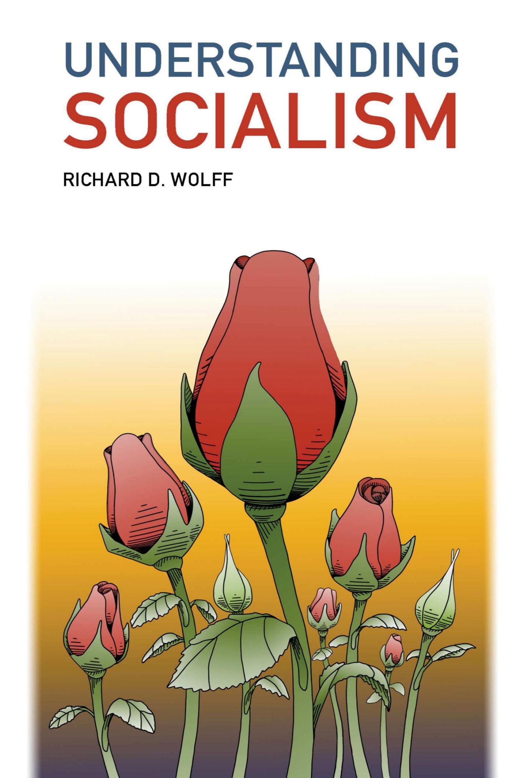 Cover: 9780578227344 | Understanding Socialism | Richard D. Wolff | Taschenbuch | Englisch