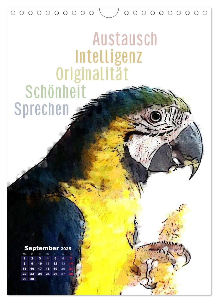 Bild: 9783457137437 | Welche spirituelle Bedeutung hat dieser Vogel? (Wandkalender 2025...