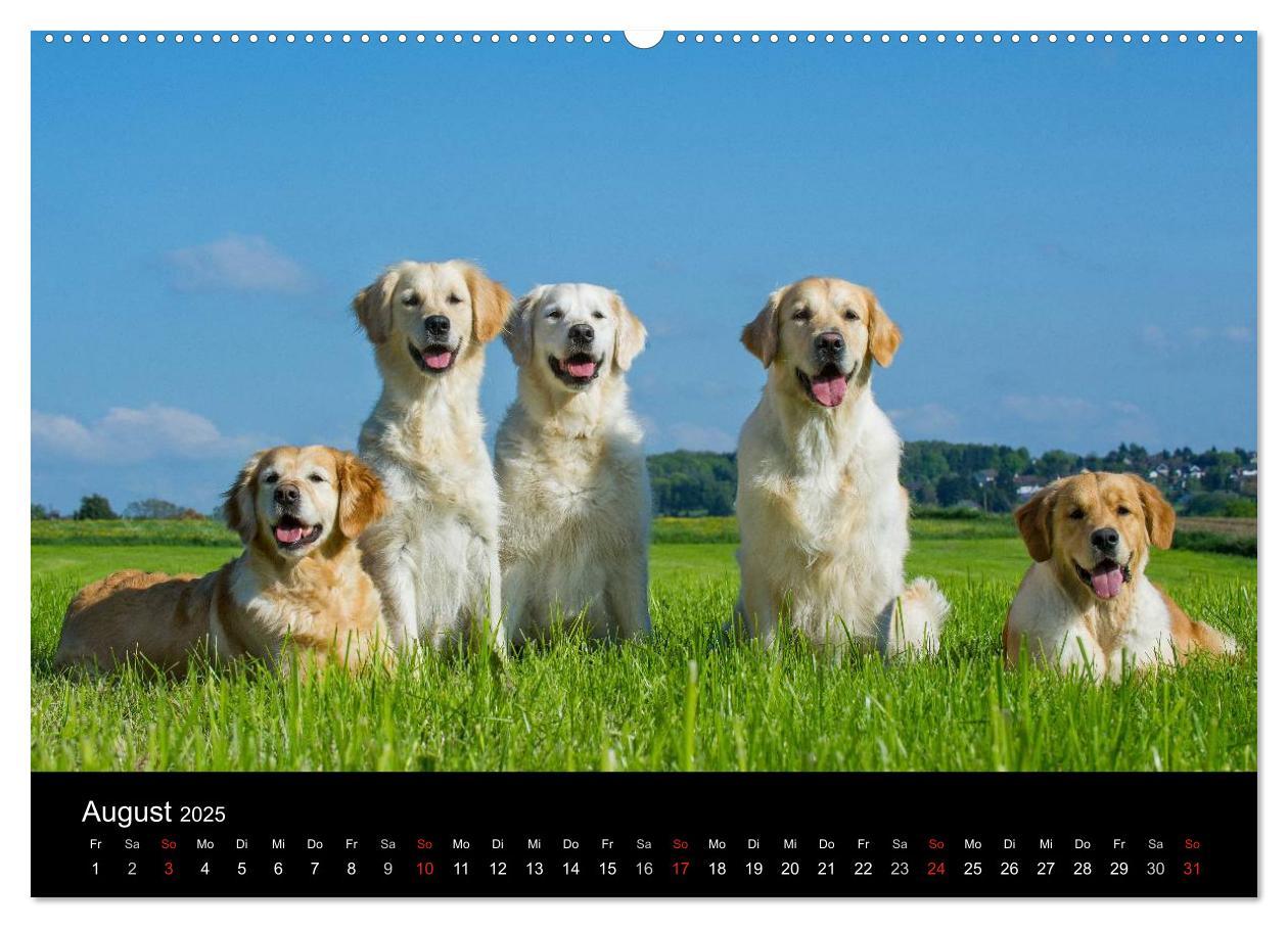 Bild: 9783435797387 | Golden Retriever - Ein Herz auf 4 Pfoten (hochwertiger Premium...