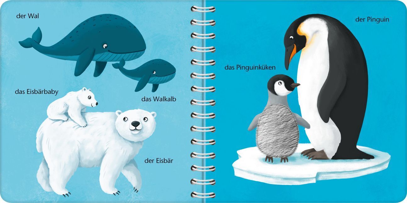 Bild: 9783473438662 | Mein erstes Wörterbuch zum Fühlen: Tierkinder | Meike Teichmann | Buch