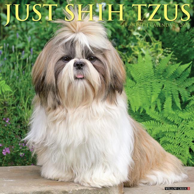 Cover: 9781549244872 | Just Shih Tzus 2025 12 X 12 Wall Calendar | Willow Creek Press | 2025